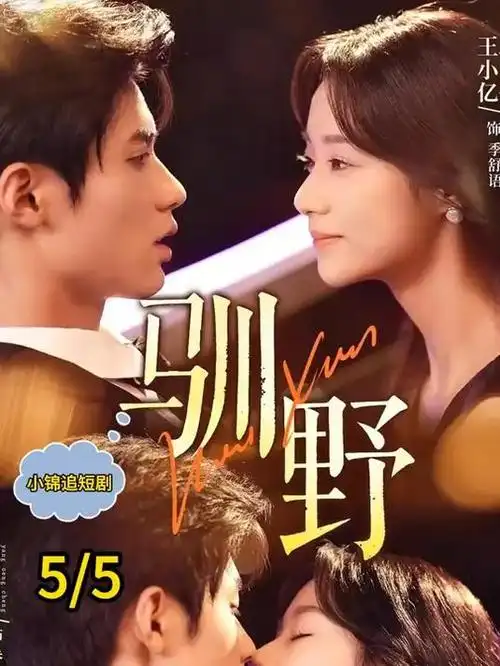 旧钟楼谜案 英剧全集在线观看